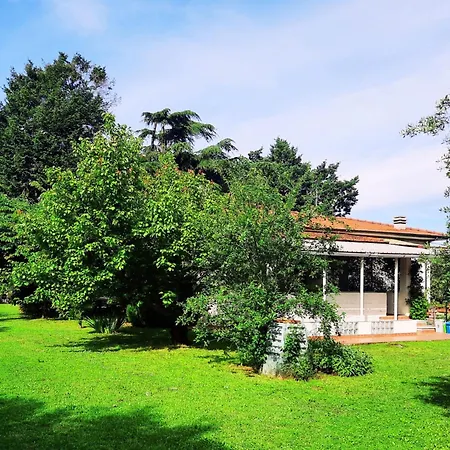Versillia Olive * Vallecchia