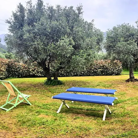 Holiday home Versillia Olive *