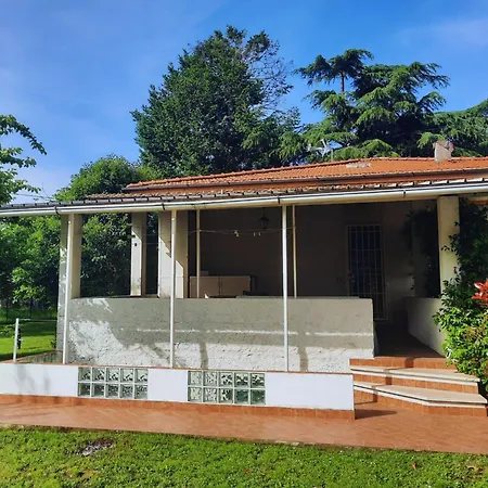 Versillia Olive Holiday home