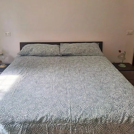 Versillia Olive * Vallecchia
