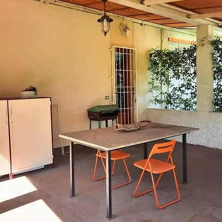 Versillia Olive Holiday home Vallecchia