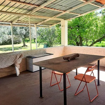 Versillia Olive Holiday home Vallecchia
