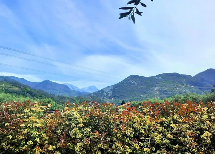 Ferienhaus Versillia Olive