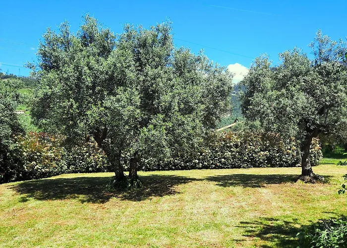 Ferienhaus Versillia Olive